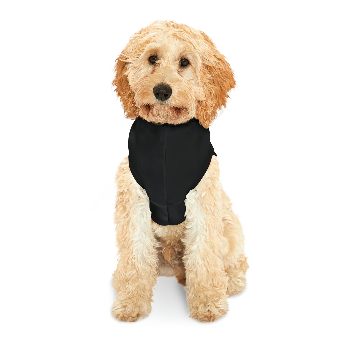 Team Bear Pet Hoodie