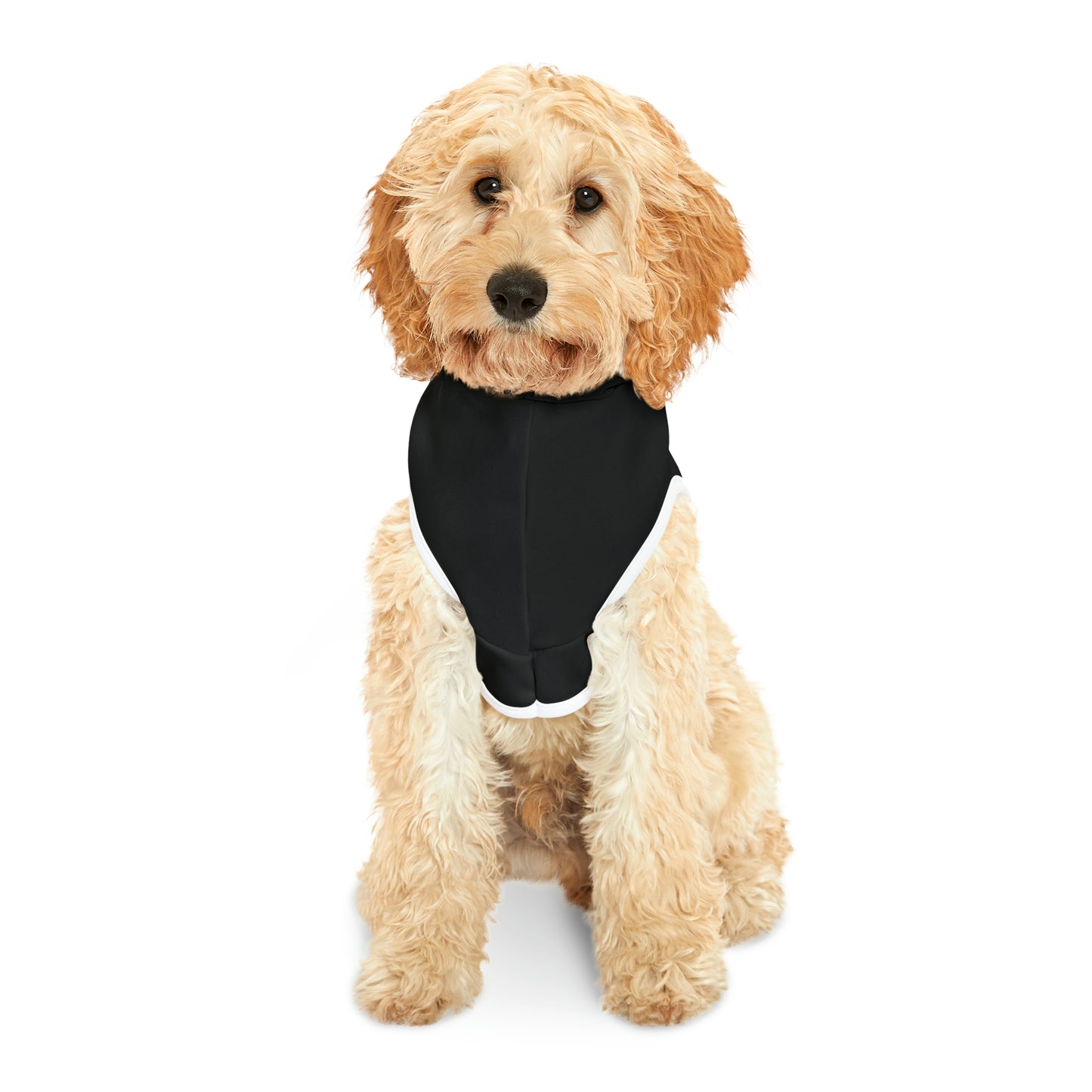 River Dawg Pet Hoodie