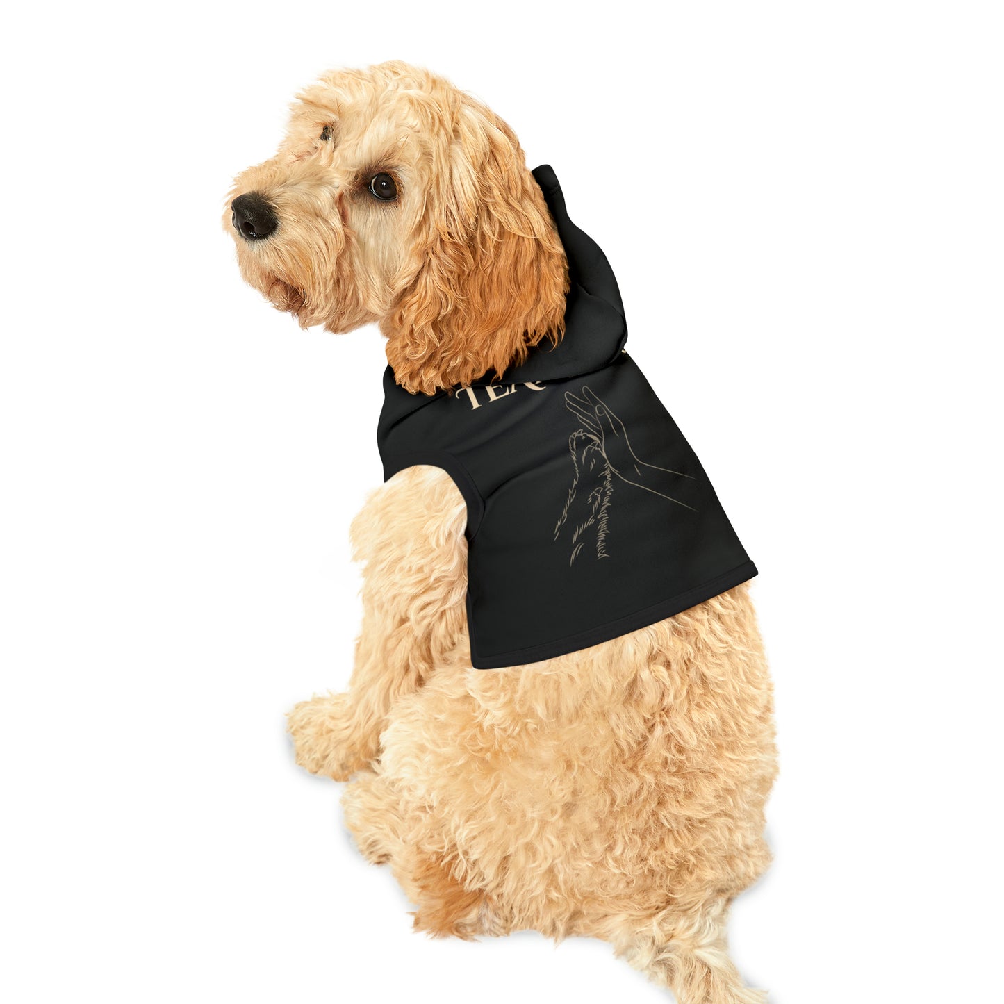 Team Bear Pet Hoodie