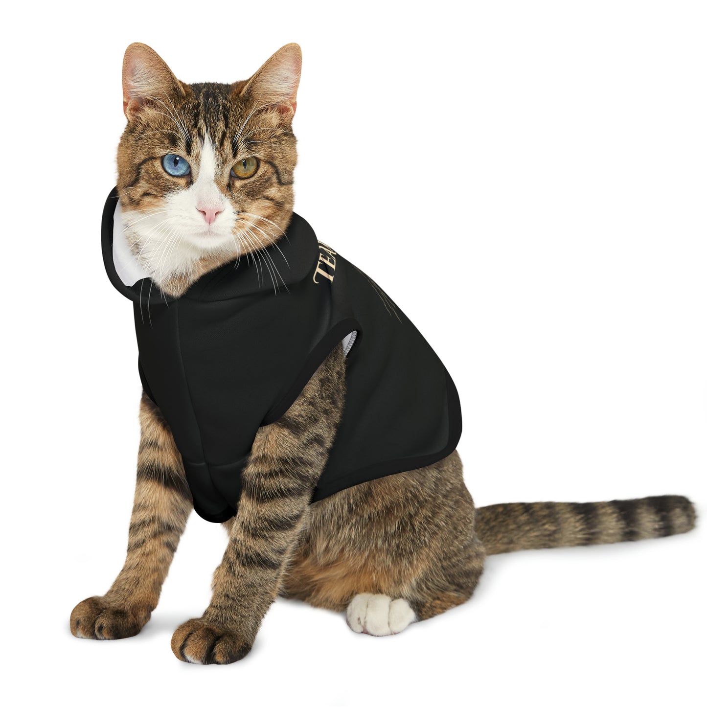 Team Bear Pet Hoodie
