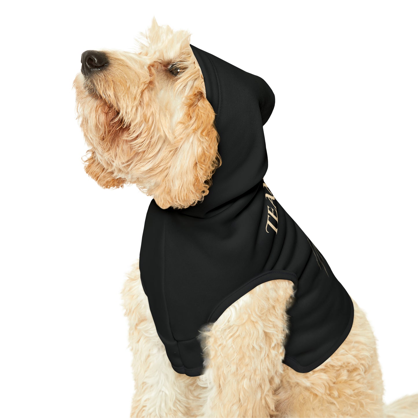 Team Bear Pet Hoodie