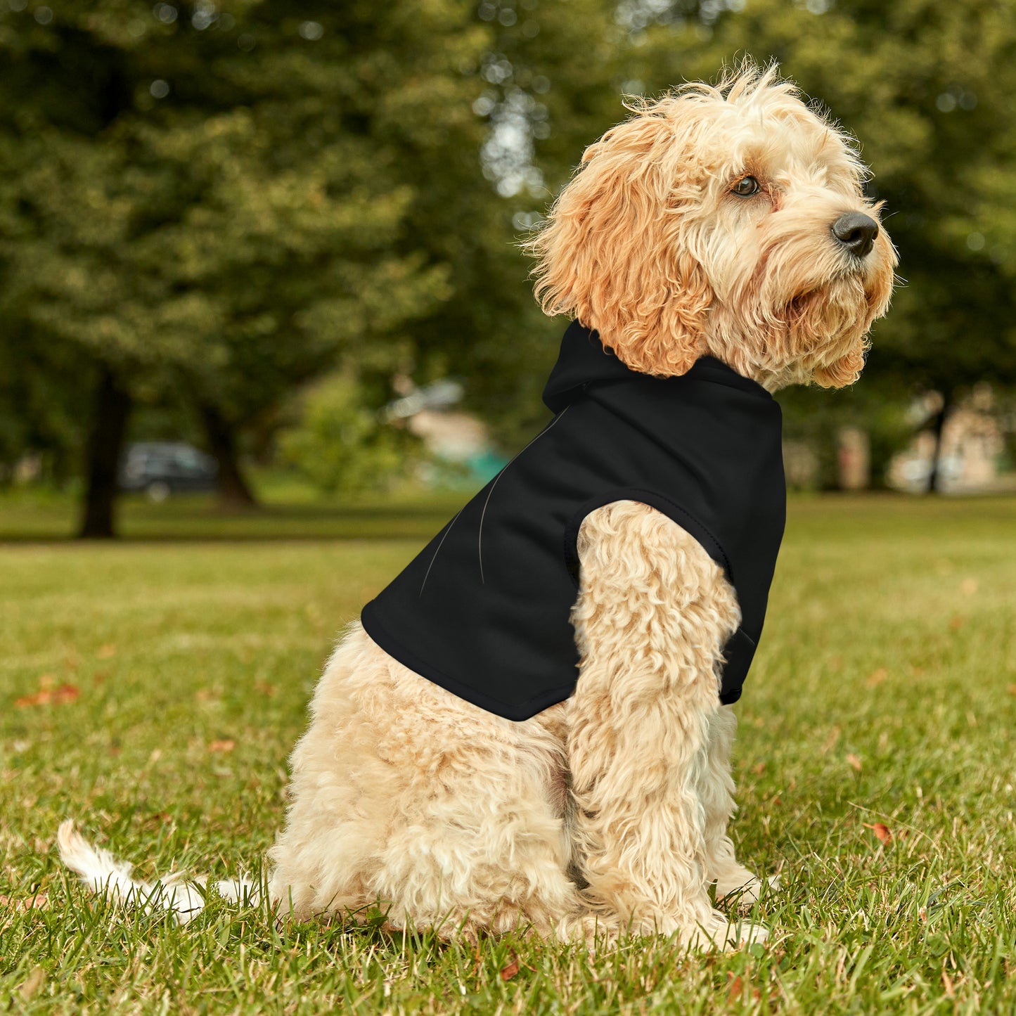 Paw & Hand Pet Hoodie