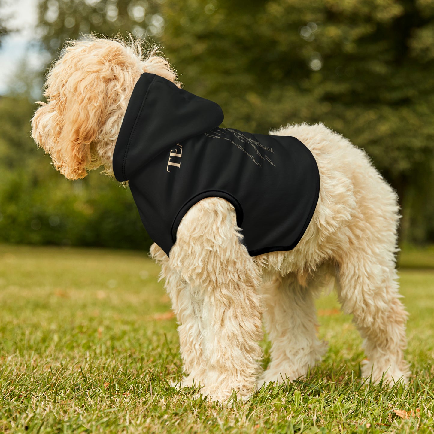 Team Bear Pet Hoodie