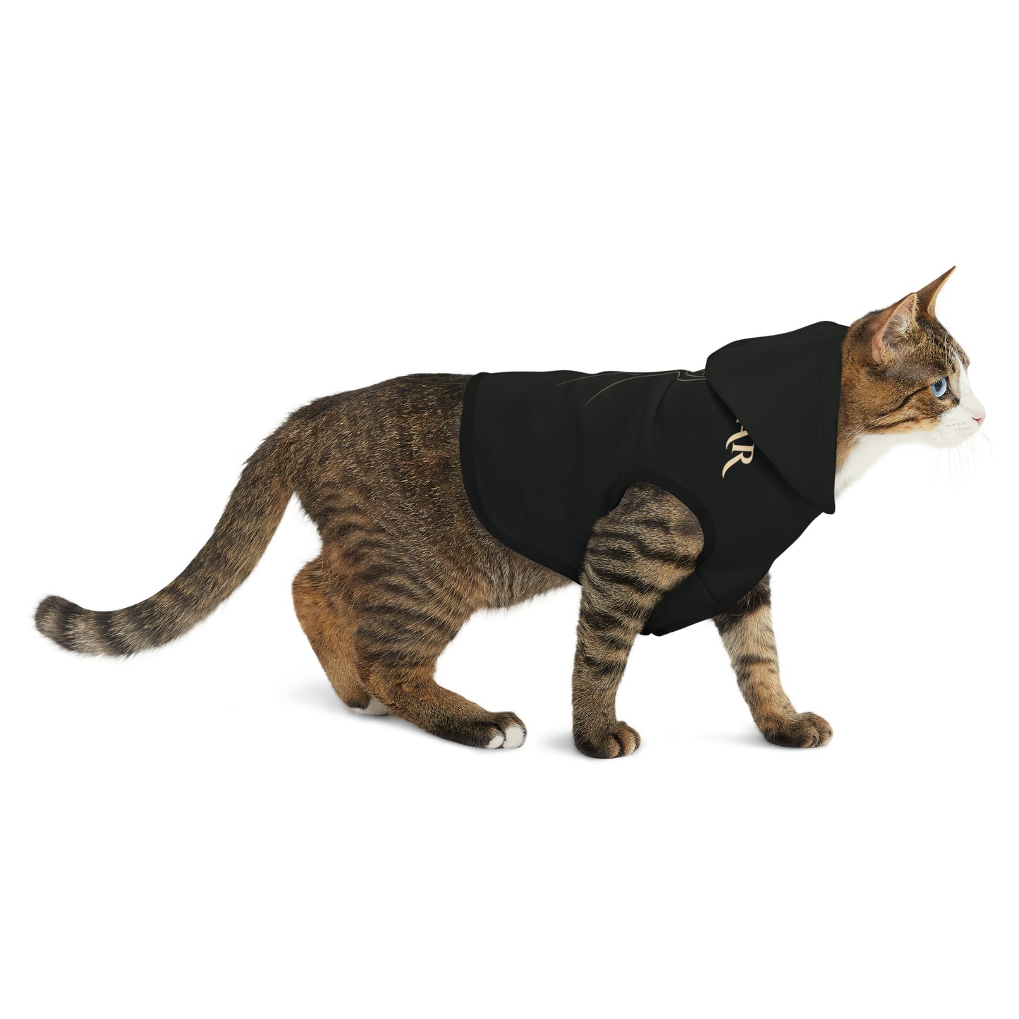 Team Bear Pet Hoodie