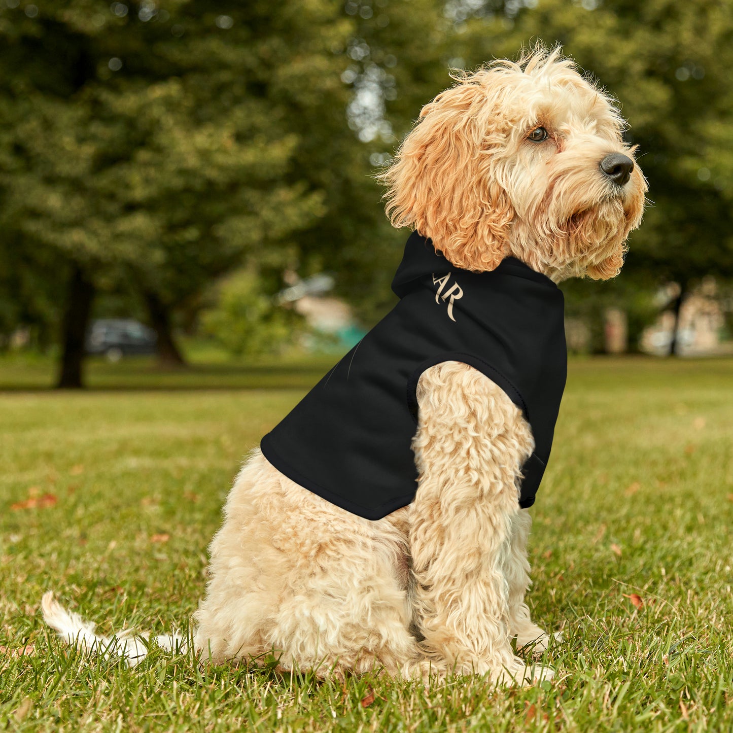 Team Bear Pet Hoodie